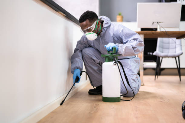 Best Fumigation Services  in Hlsboro, IL